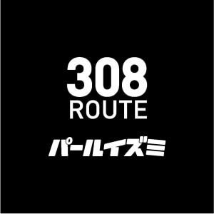 激坂の国道３０８のロゴ