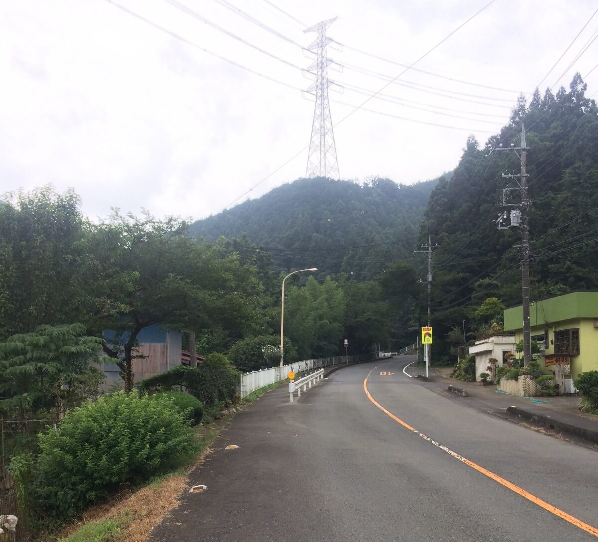 3か月半ぶりの坂道ライド 奥武蔵グリーンライン 林道の涼を求めて とことんロードバイク