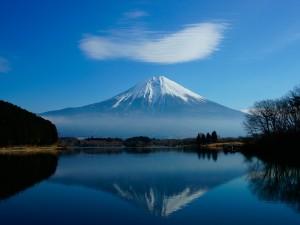 キングオブヒルクライム富士山